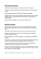 Bäume-Text-zur-Präsentation-2.pdf